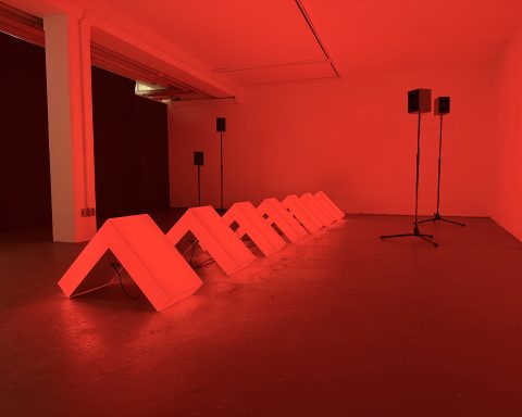 Roman Conrad, Analogien vom Rande des Aux-Wegs“, 2026