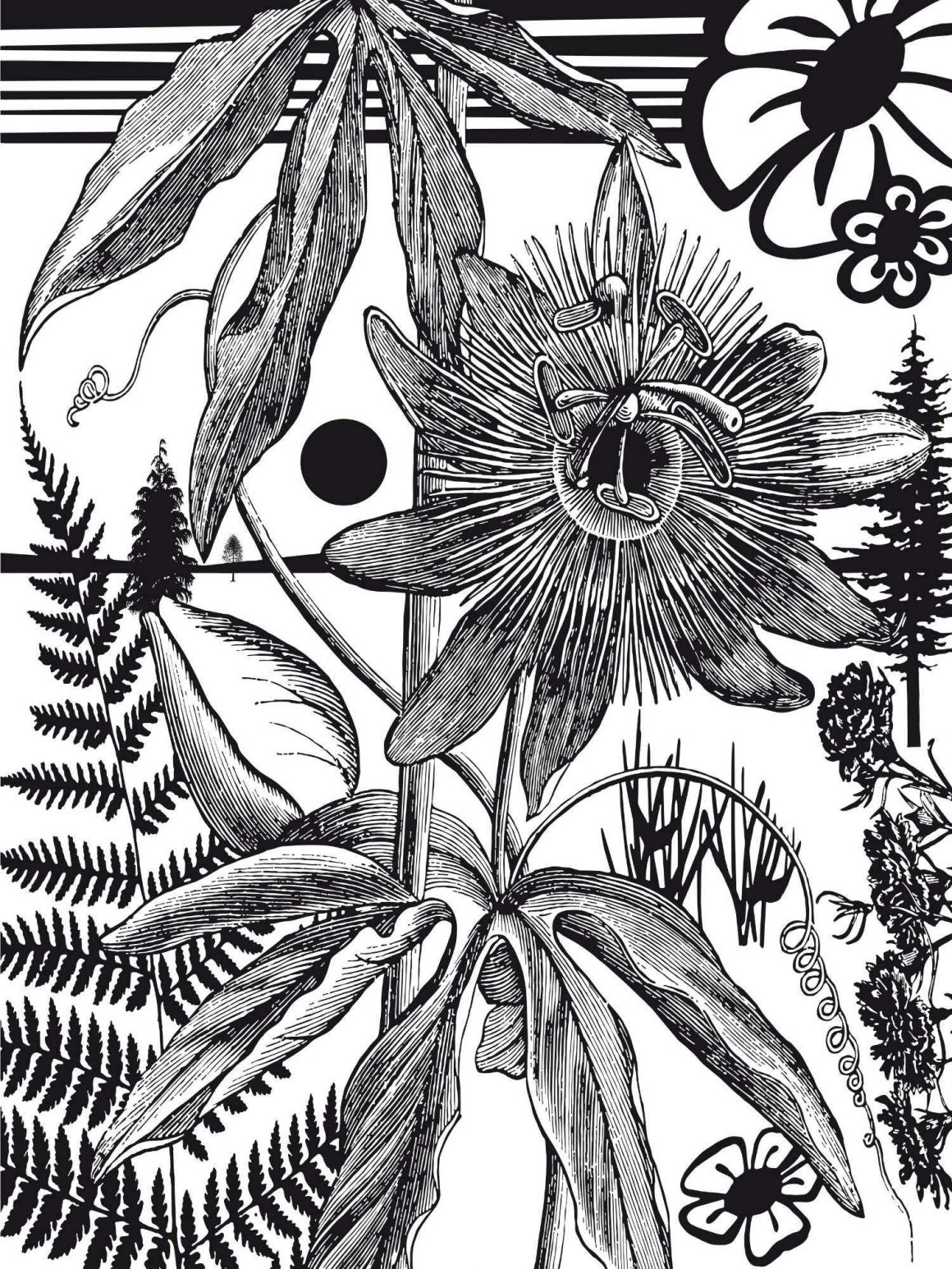 Paul Morrison, Bromeliad, 2007, Kunst-Kuntz-Gallery