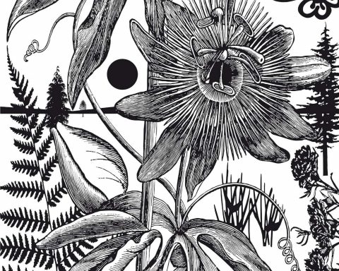 Paul Morrison, Bromeliad, 2007, Kunst-Kuntz-Gallery