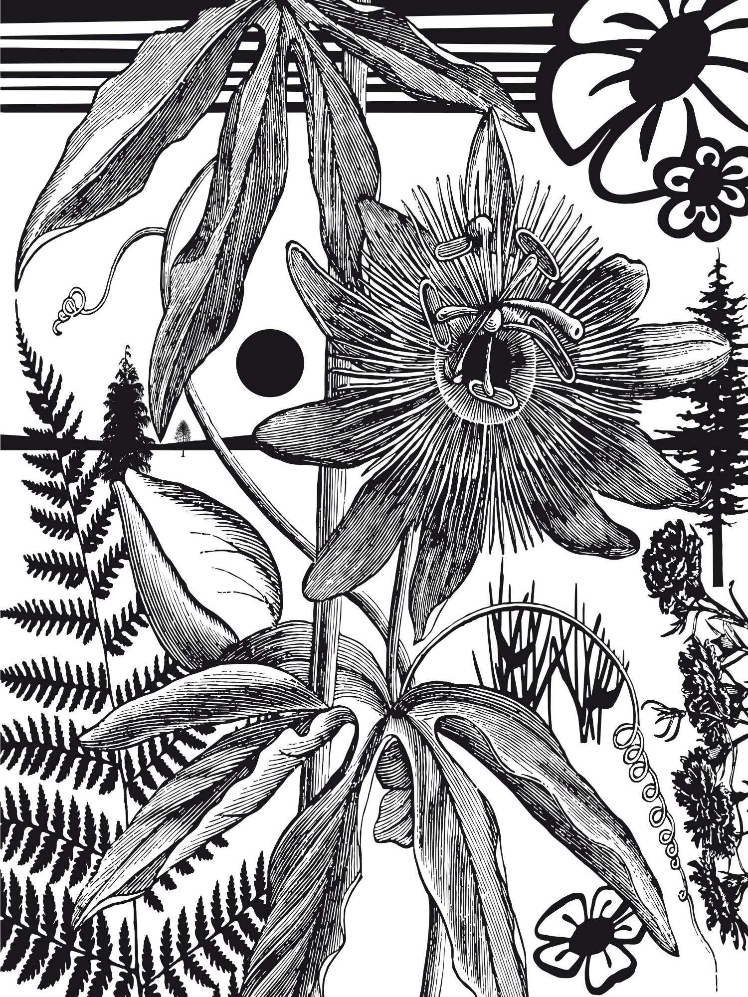 Paul Morrison, Bromeliad, 2007, Kunst-Kuntz-Gallery